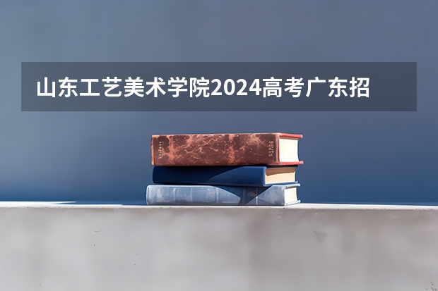 山东工艺美术学院2024高考广东招生计划