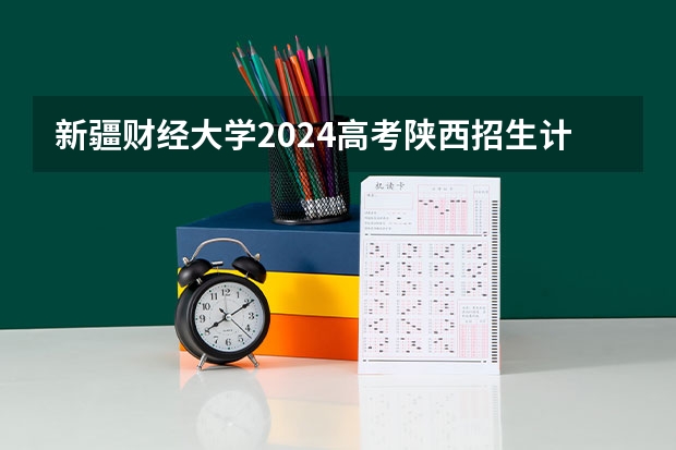 新疆财经大学2024高考陕西招生计划