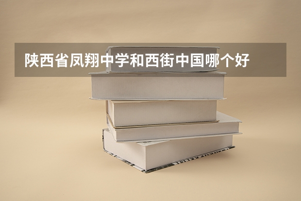 陕西省凤翔中学和西街中国哪个好