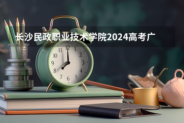 长沙民政职业技术学院2024高考广西招生计划