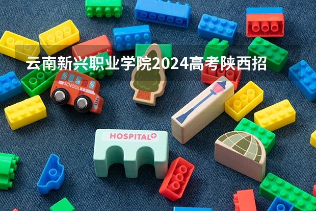 云南新兴职业学院2024高考陕西招生计划