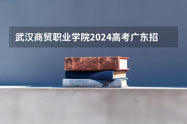 武汉商贸职业学院2024高考广东招生计划