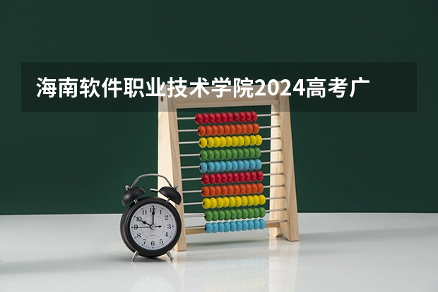海南软件职业技术学院2024高考广西招生计划