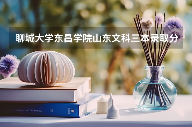 聊城大学东昌学院山东文科三本录取分数线是多少啊