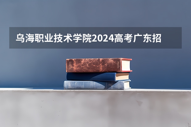 乌海职业技术学院2024高考广东招生计划
