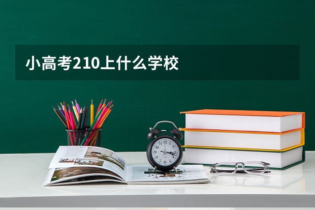 小高考210上什么学校