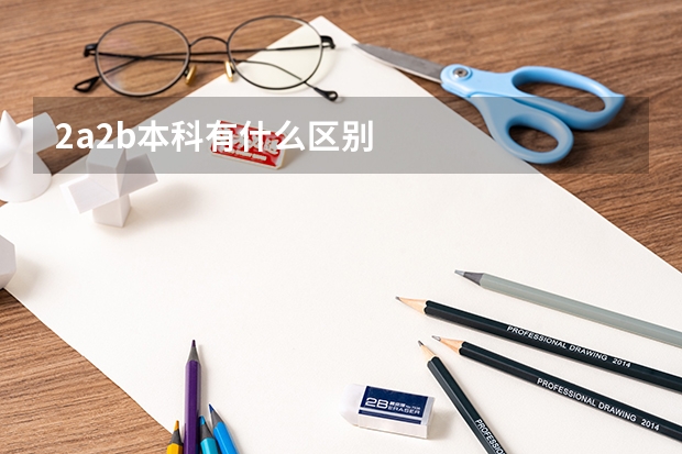 2a2b本科有什么区别