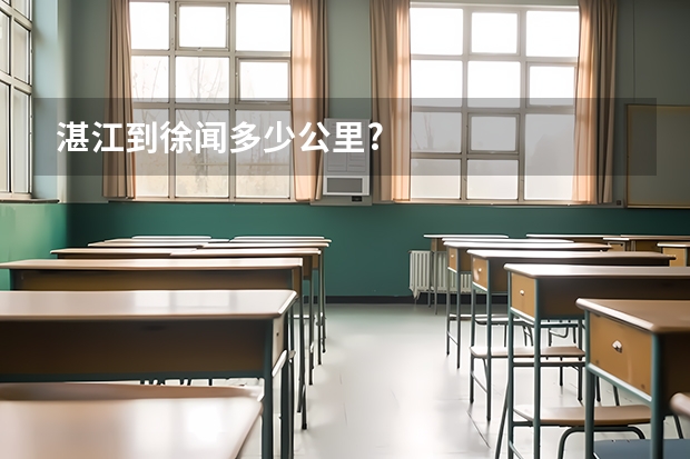 湛江到徐闻多少公里?