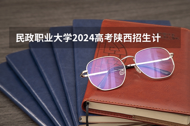 民政职业大学2024高考陕西招生计划