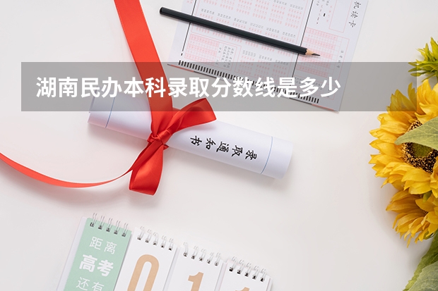 湖南民办本科录取分数线是多少