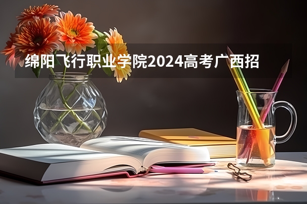 绵阳飞行职业学院2024高考广西招生计划