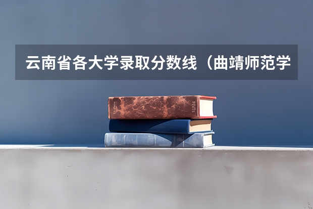 云南省各大学录取分数线（曲靖师范学院专业录取分数线）