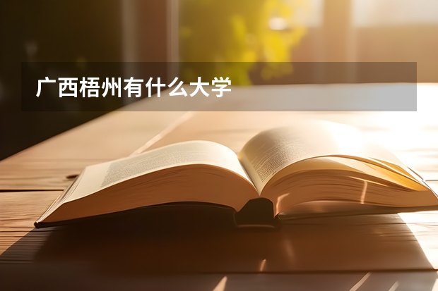 广西梧州有什么大学