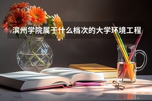 滨州学院属于什么档次的大学环境工程