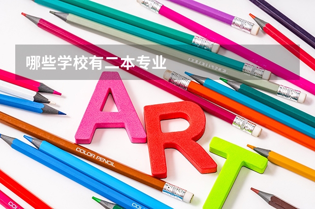 哪些学校有二本专业