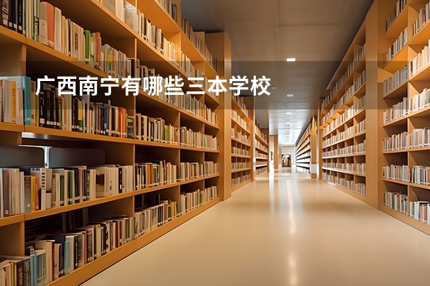 广西南宁有哪些三本学校