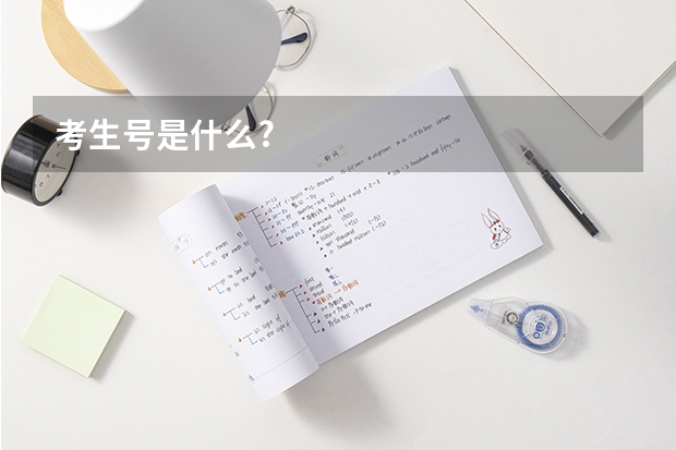 考生号是什么?