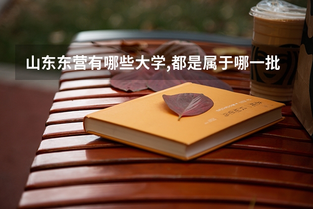 山东东营有哪些大学,都是属于哪一批次啊？
