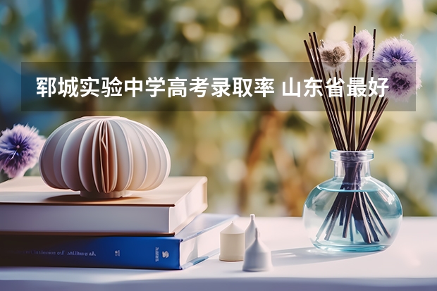 郓城实验中学高考录取率 山东省最好高中