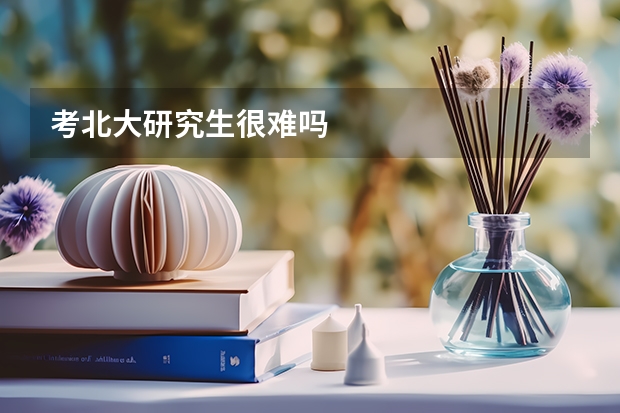 考北大研究生很难吗