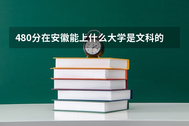 480分在安徽能上什么大学是文科的
