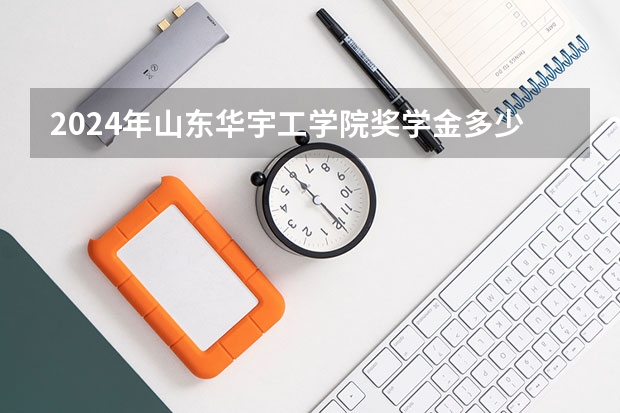 2024年山东华宇工学院奖学金多少钱