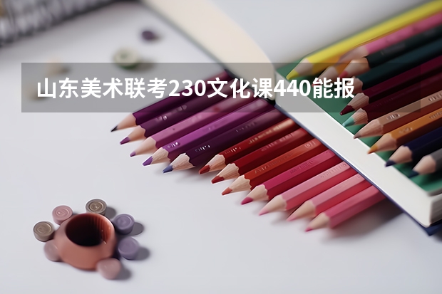 山东美术联考230.文化课440.能报什么学校呢