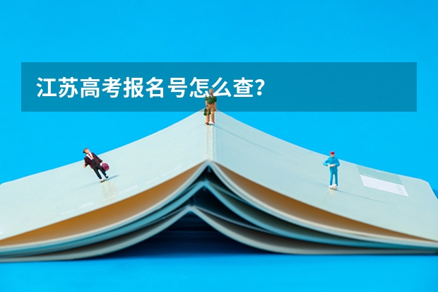 江苏高考报名号怎么查？