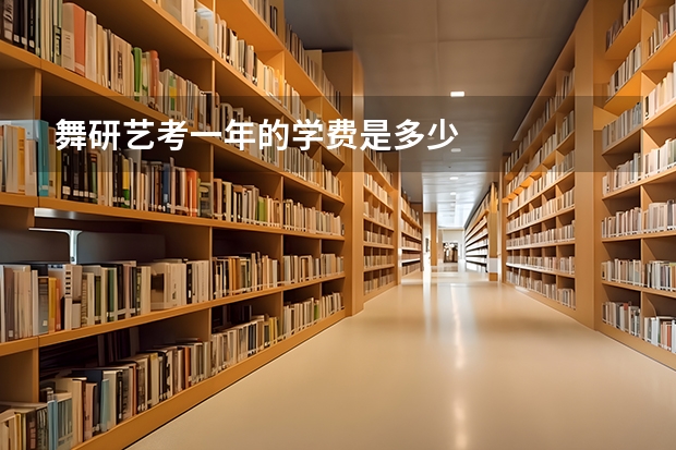 舞研艺考一年的学费是多少