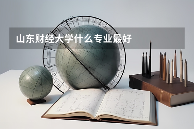 山东财经大学什么专业最好