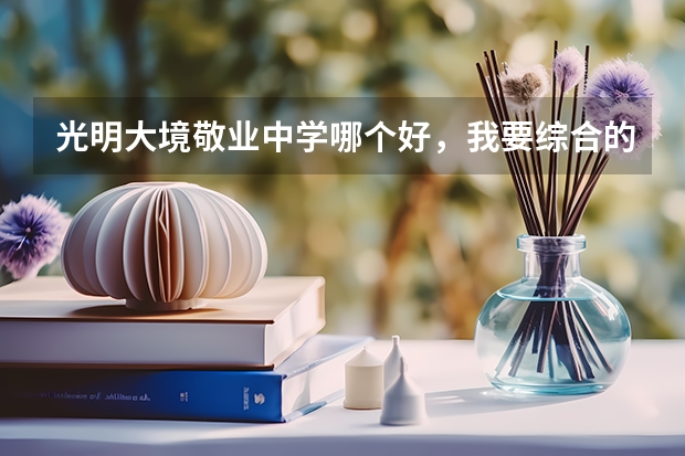 光明大境敬业中学哪个好，我要综合的。