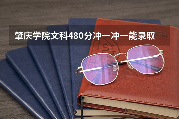 肇庆学院文科480分冲一冲一能录取吗